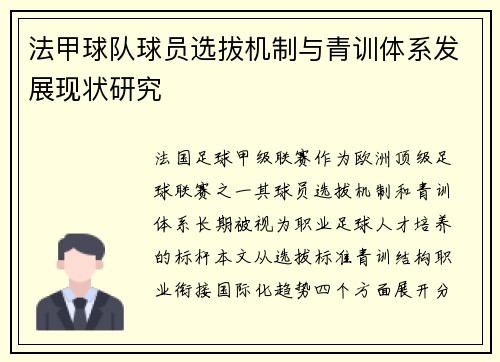 法甲球队球员选拔机制与青训体系发展现状研究